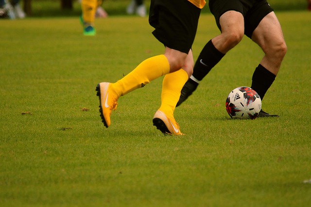 爭力的聯賽 爭力的聯賽