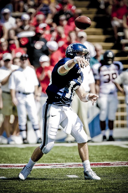 登贝莱的成 登贝莱的成